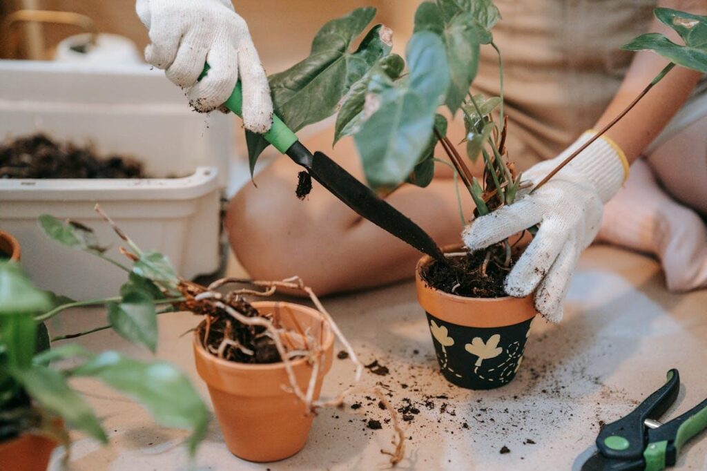 5 Tips for Optimal Soil Management in Your Yard 5 Tips for Optimal Soil Management in Your Yard